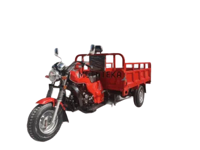 Трицикл грузовой Мотомир AGIAX 1 250 куб. см, ВОЗД.ОХЛ, кузов 2м красный с ПТС