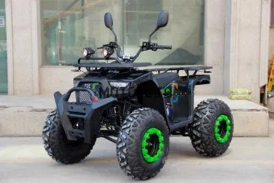 Квадроцикл Мотомир ATV CASTOR 200 Lux Pro (машинокомплект)