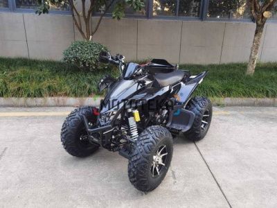 Квадроцикл Мотомир ATV SPORTY 250 чёрный карбон (машинокомплект)